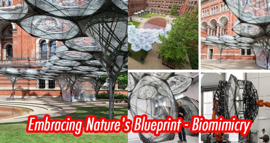 The Concept Behind Biomimicry in Construction