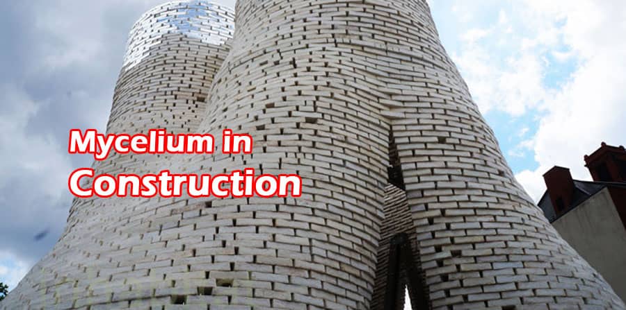 Mycelium in Construction: the future of construction