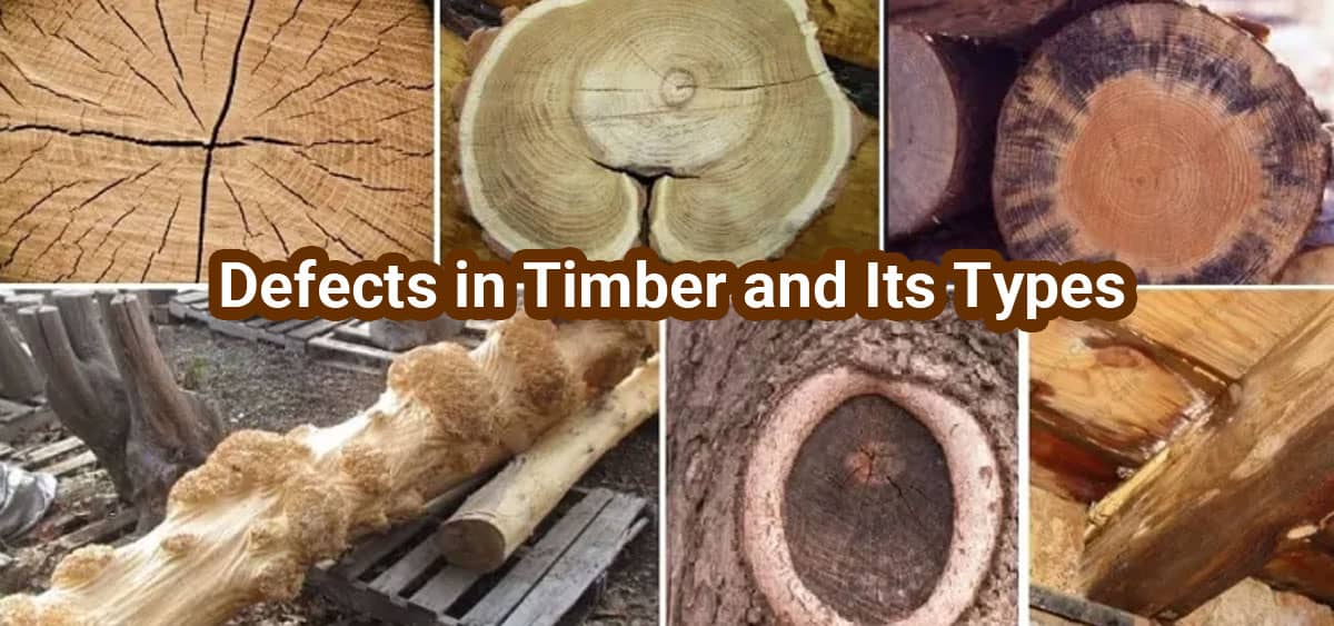 Defects in Timber and Its Types
