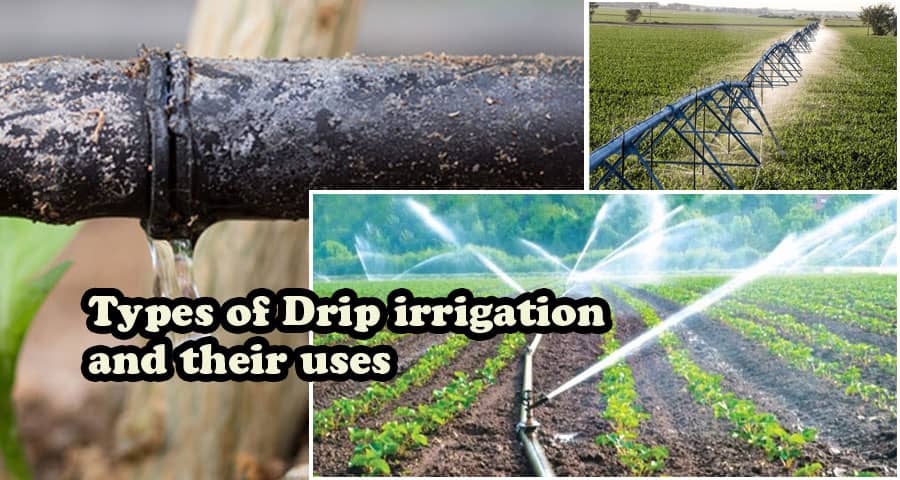 Comprehensive Guide to Types of Drip Irrigation and Their Uses